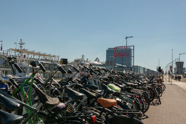 Vivre bio : les gestes du quotidien pour une vie plus saine